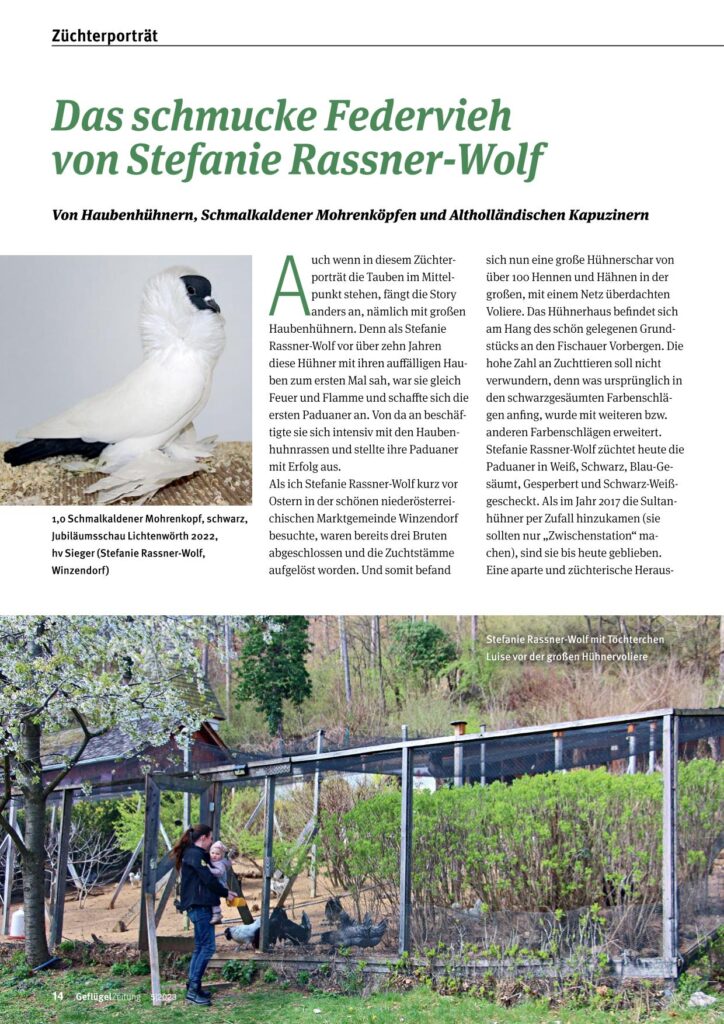 Rassner Wolf 01