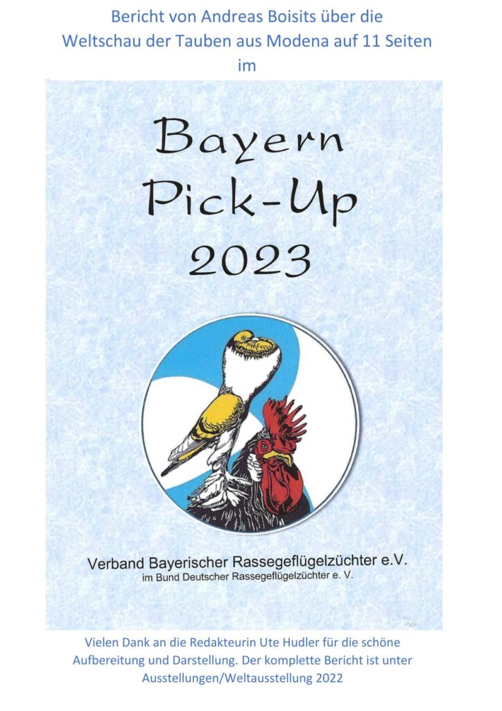 6 Weltschau Pickup 01