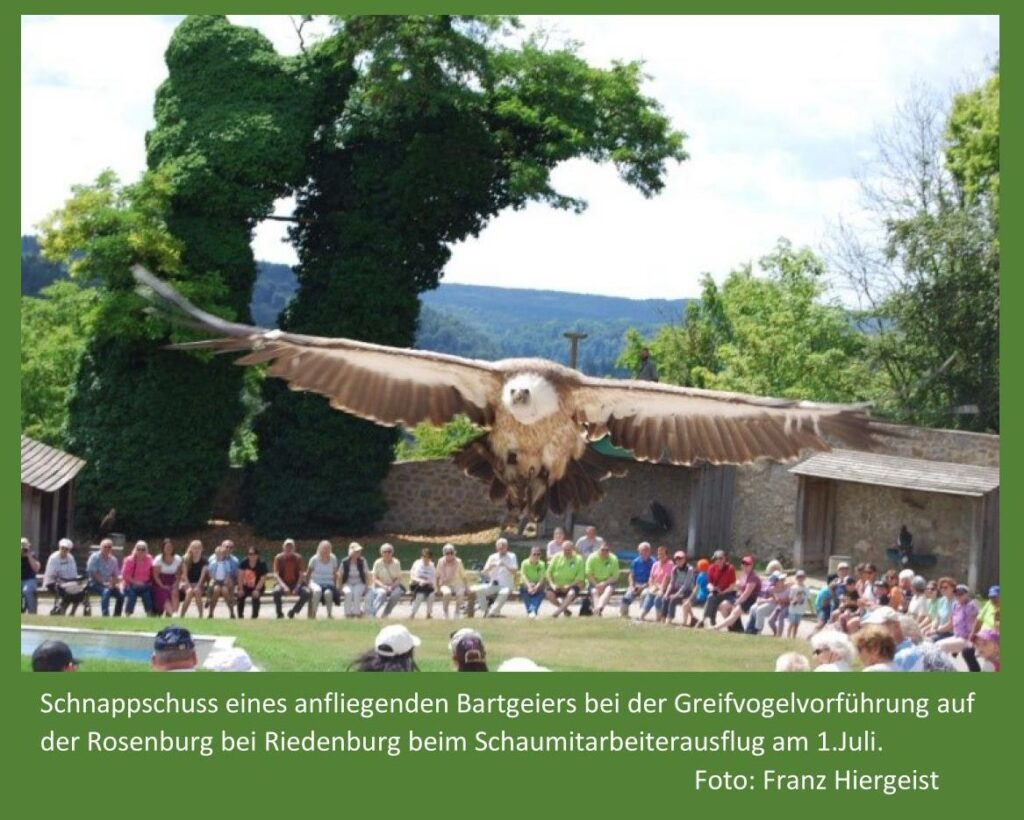 7 2023 Geieranflug