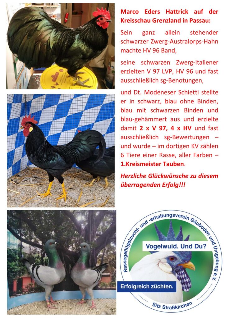 11 Eder Passau 01