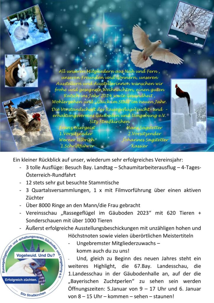 12 Weihnachtsgruß 01