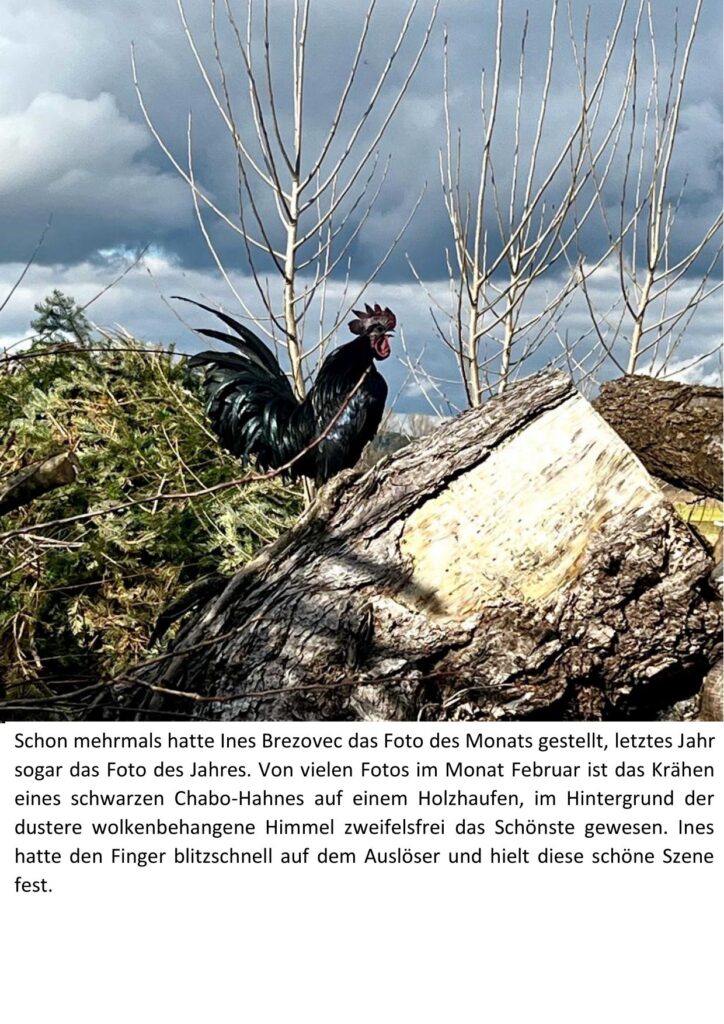 2 Chabohahn 01