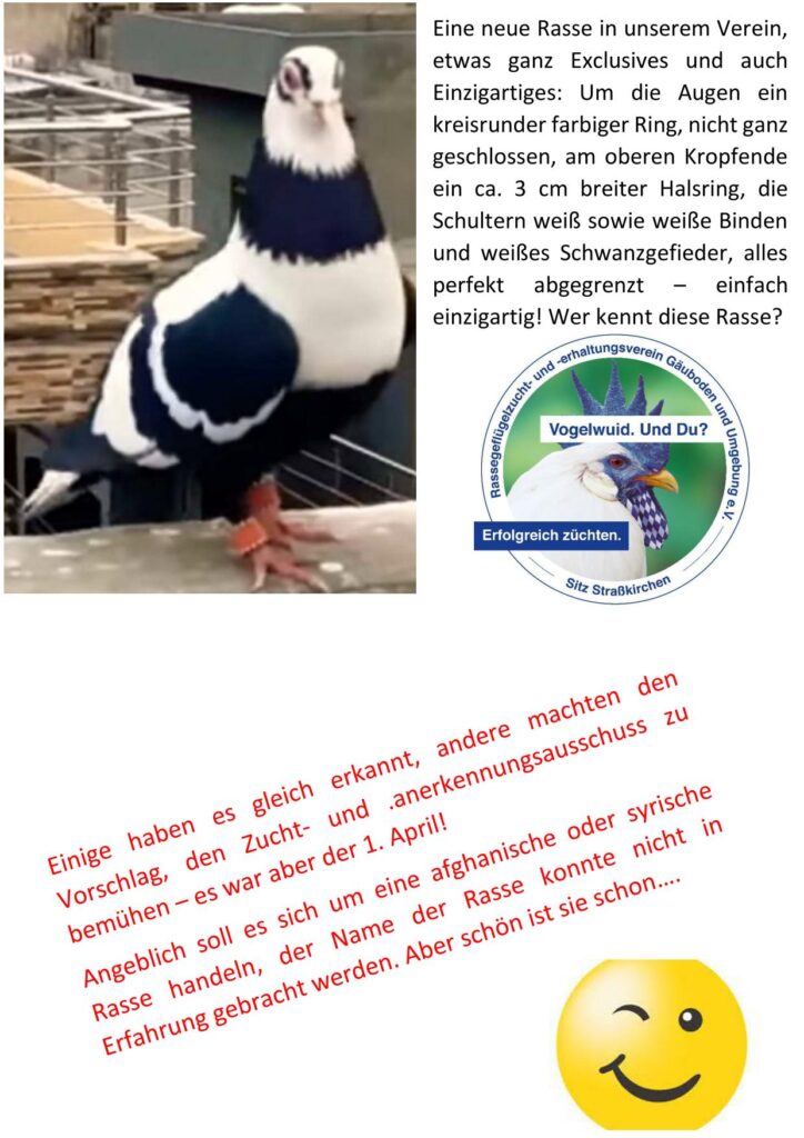 4 April Auflösung 01