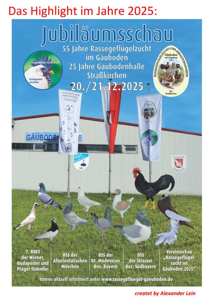 Collage Vorschau 01