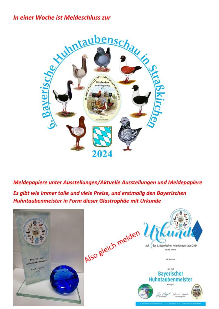 11 Huhntaubenschau 01