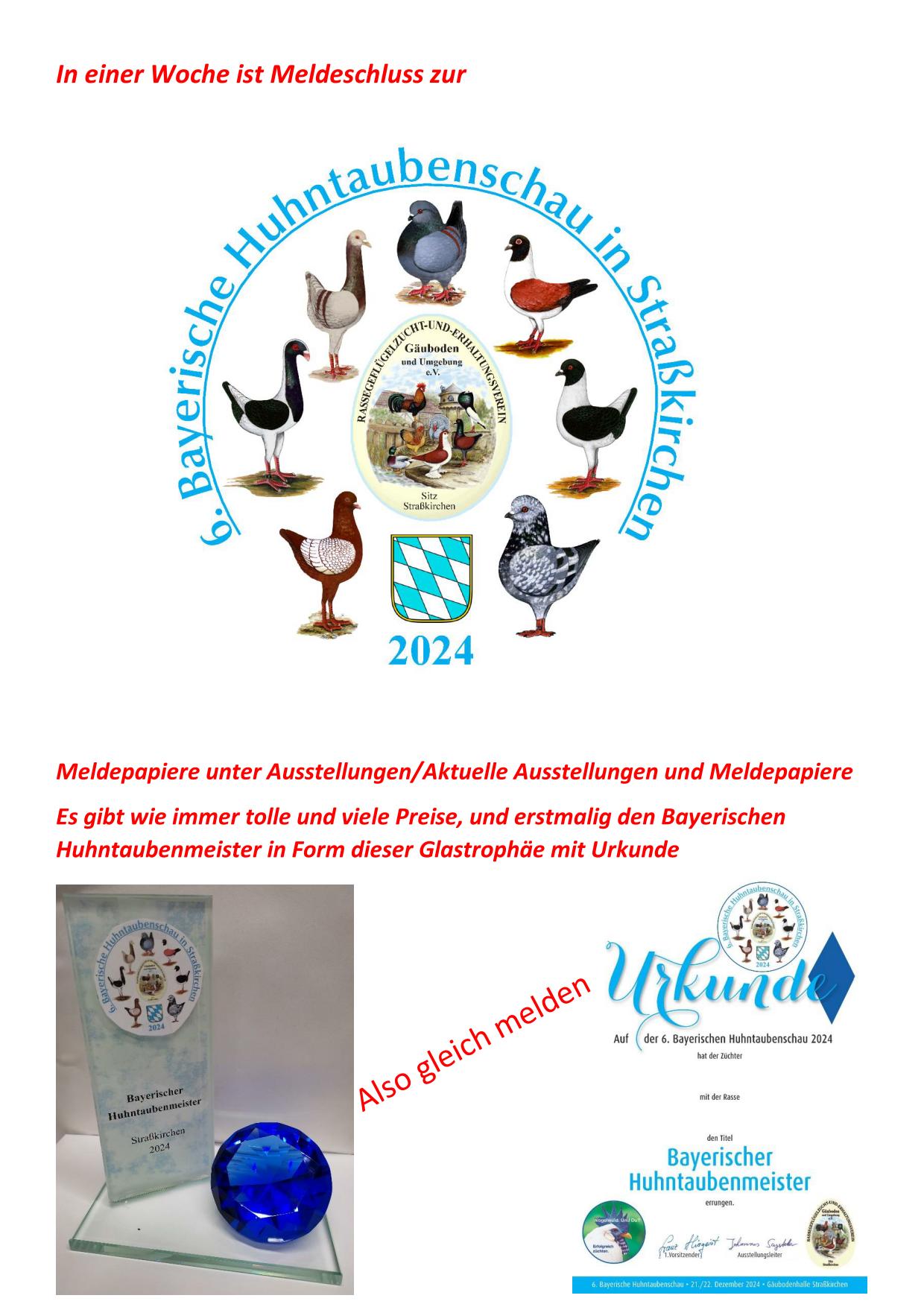 Meldeschluss zur Bayerischen Huhntaubenschau steht bevor