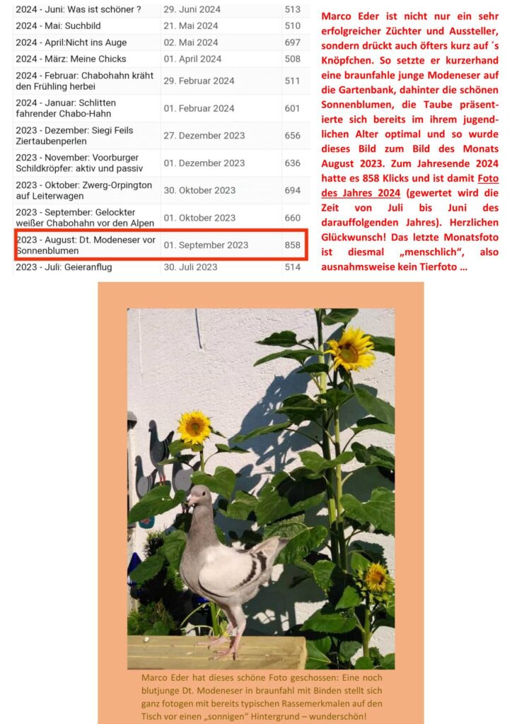 12 Foto des Jahres 01