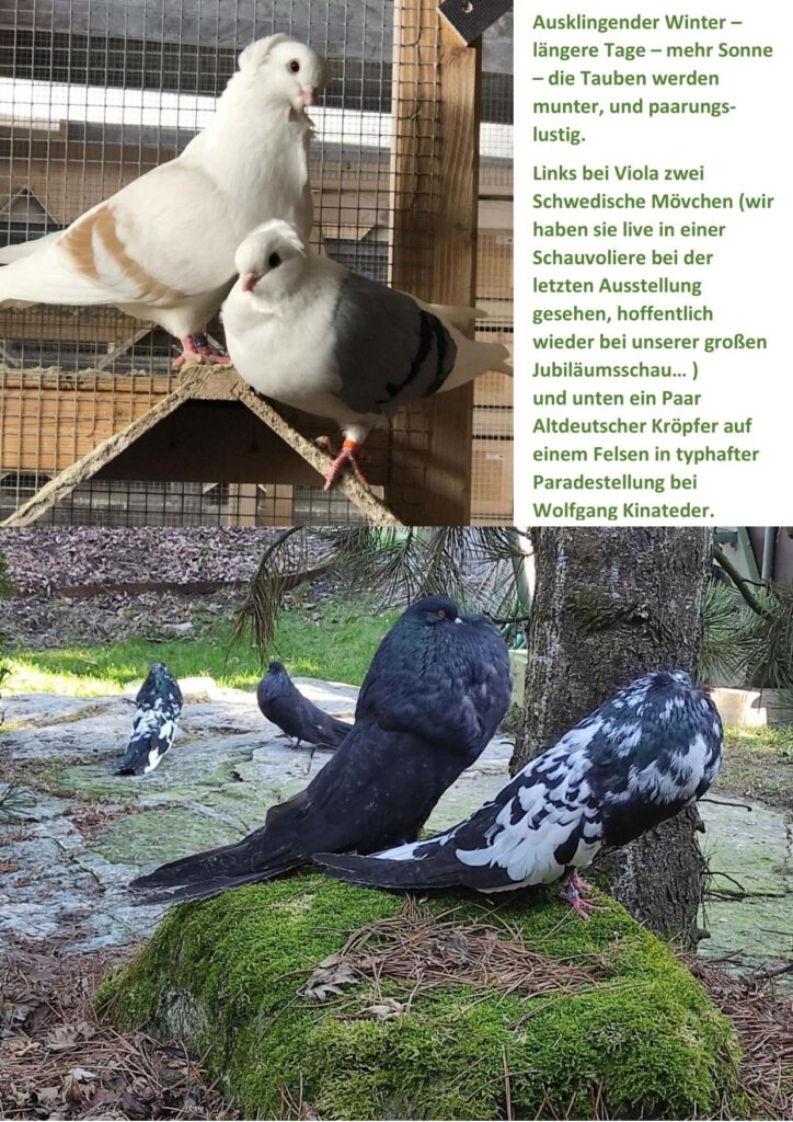 2 Frühling 01