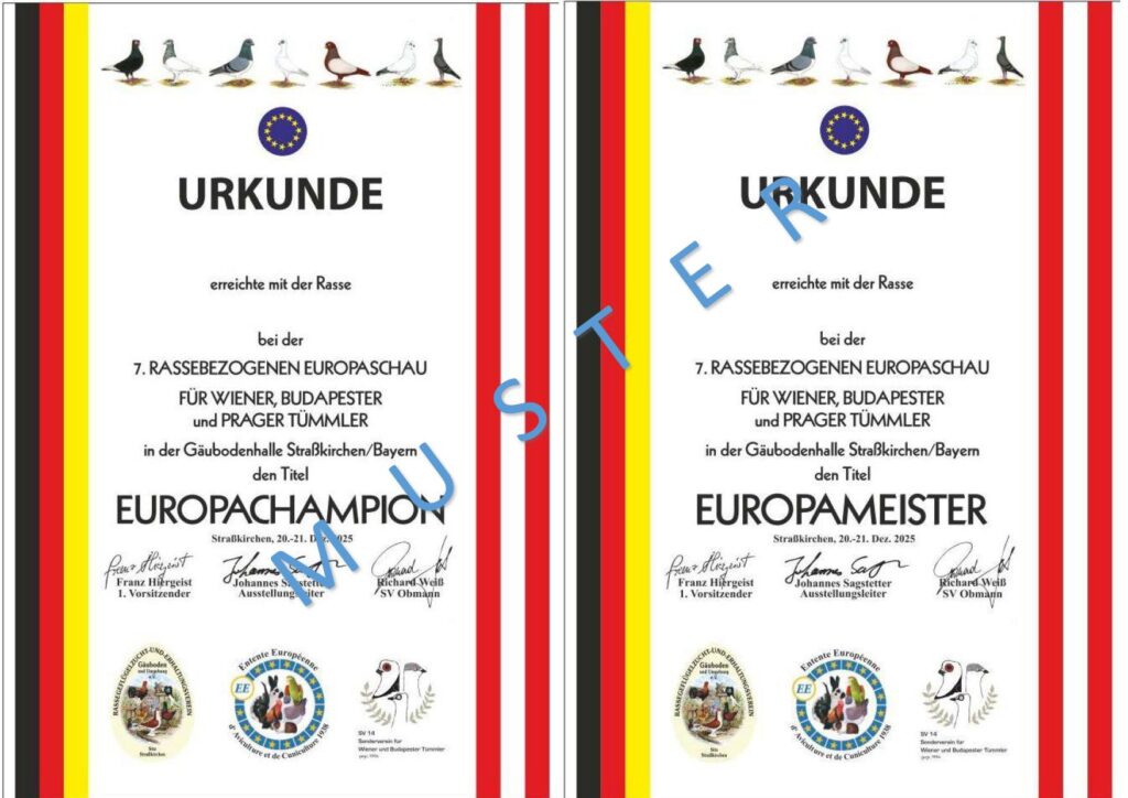 2 Muster Urkunde RBES 01