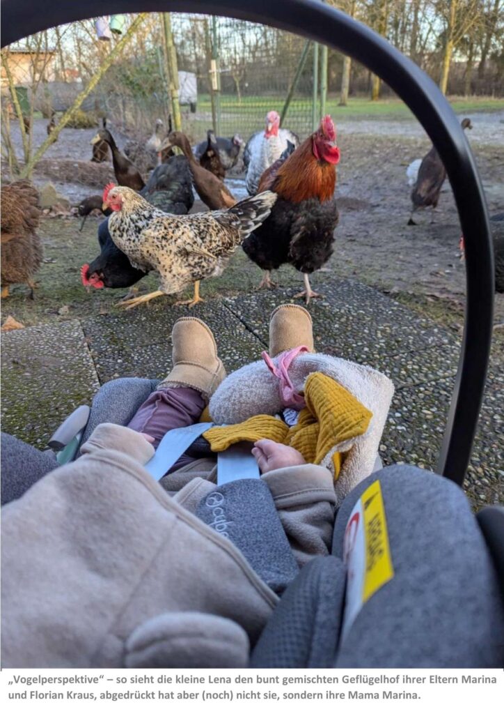 2 Vogelperspektive 01