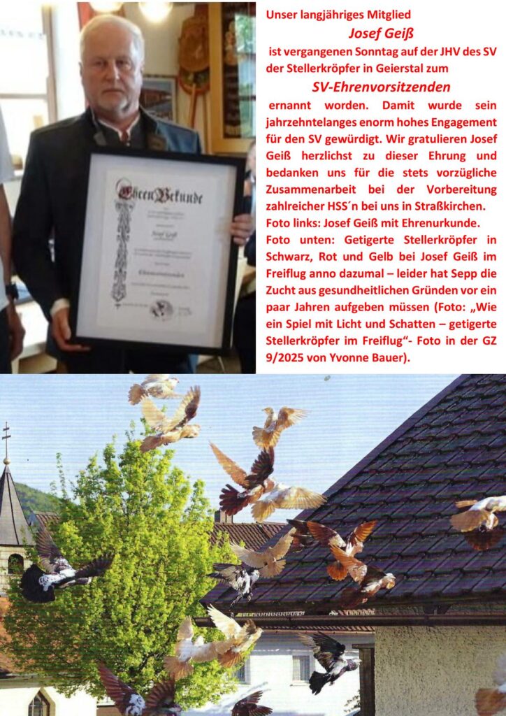 9 Geiß 01