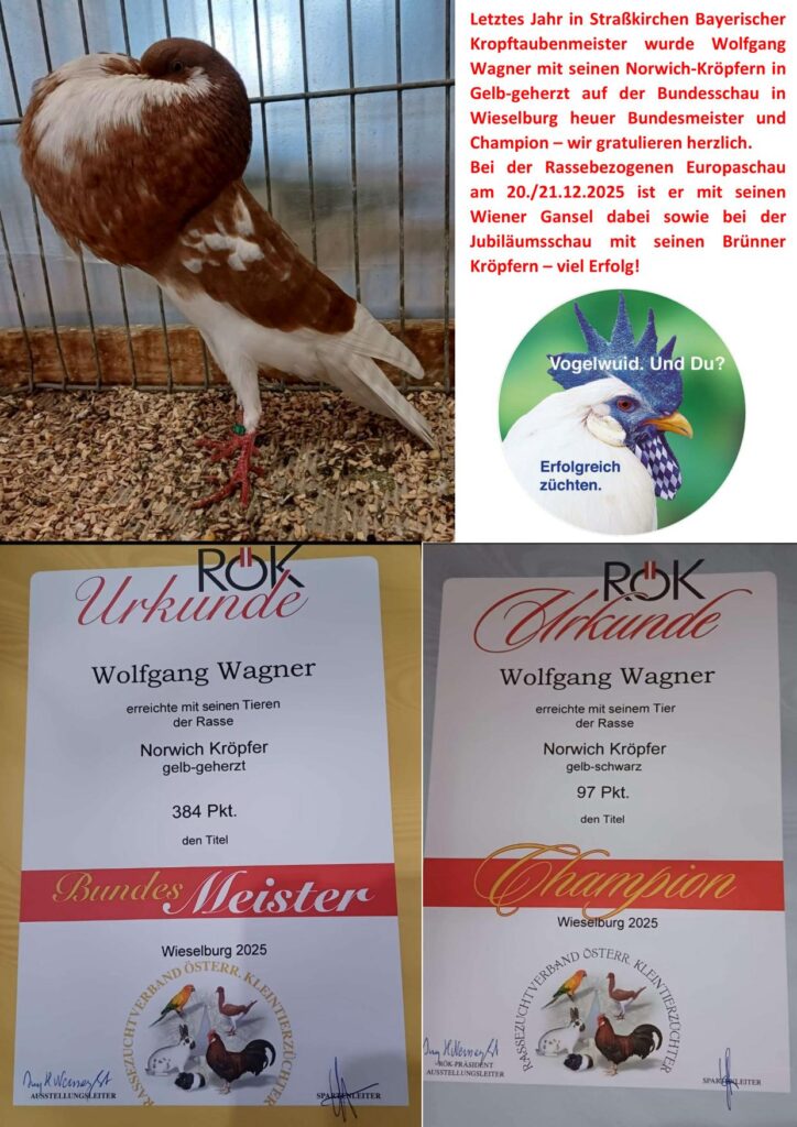 11 Wagner 01