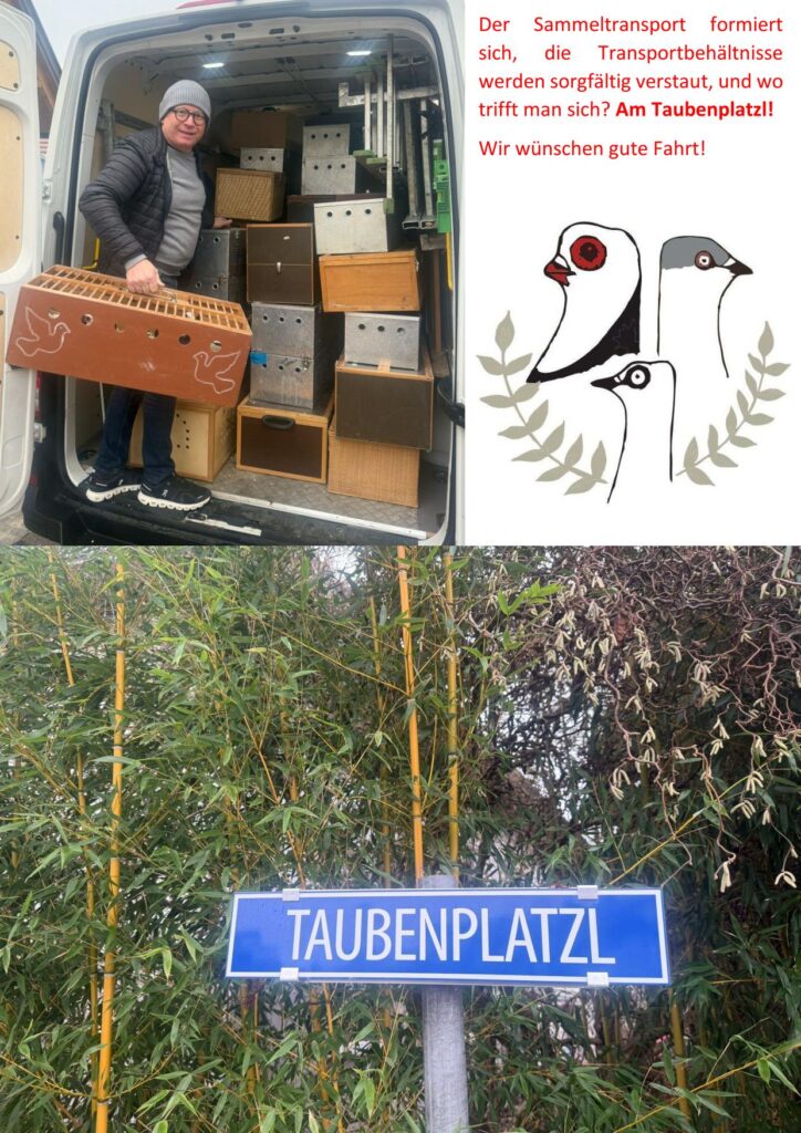 12 Taubenplatzl 01