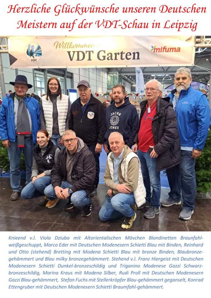 12 VDT Meister 01