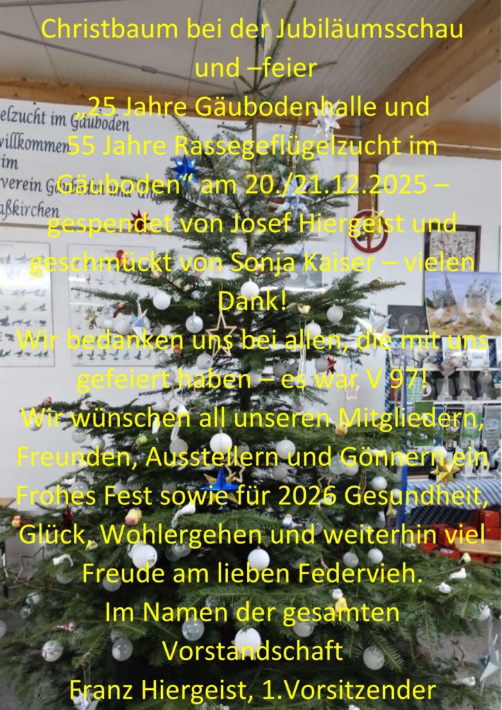 12 Weihnachten 01