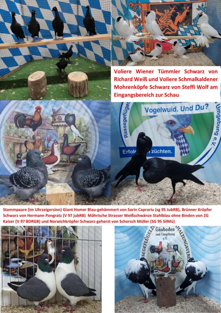 1 Jubiläumsschau 4 01