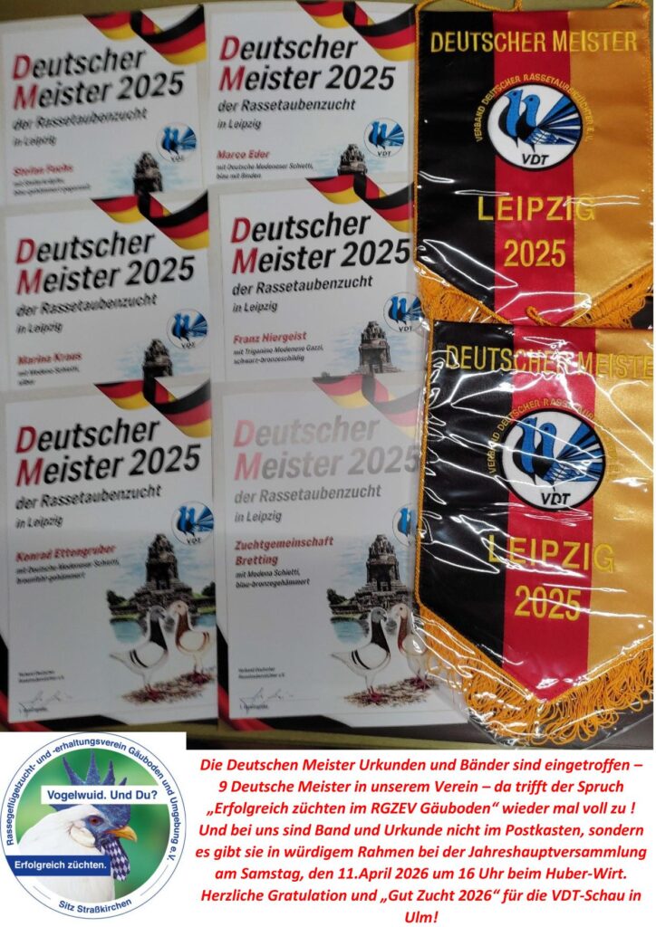 3 DM 01