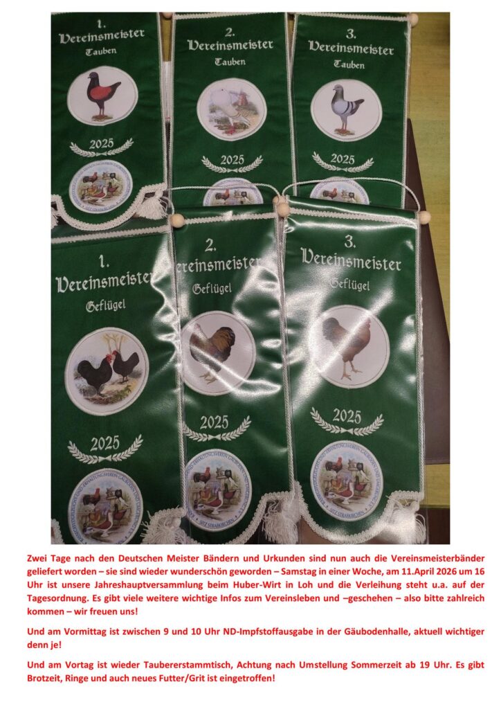 3 Bänder 01