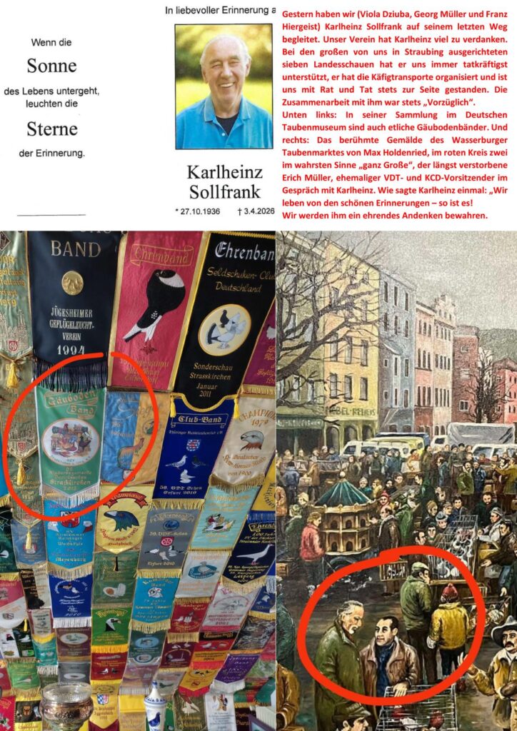 5 Sollfrank 01