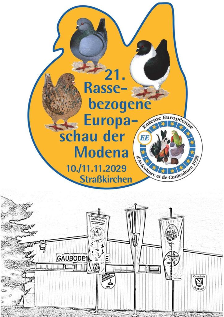 Flyer Modena 2029 01