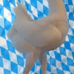 Huhntaubenparade_36