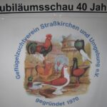 Stämme + Einzel